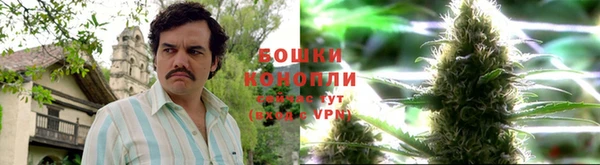 каннабис Беломорск