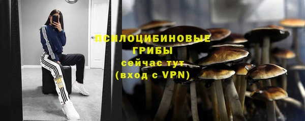 герыч Белокуриха