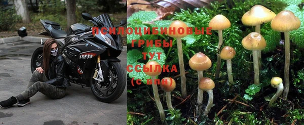 каннабис Беломорск