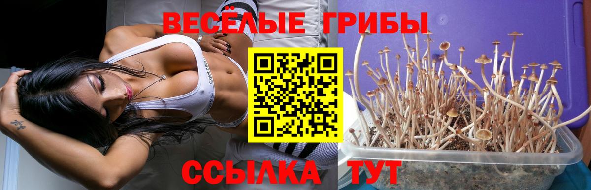 Пыть-Ях  Псилоцибиновые грибы Magic Shrooms  Галлюциногенные грибы MAGIC MUSHROOMS  где можно купить наркотик  Вход с VPN 